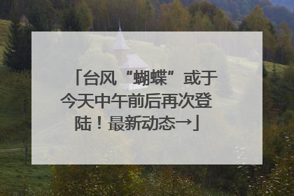 台风“蝴蝶”或于今天中午前后再次登陆！最新动态→