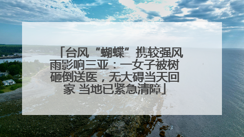 台风“蝴蝶”携较强风雨影响三亚：一女子被树砸倒送医，无大碍当天回家 当地已紧急清障