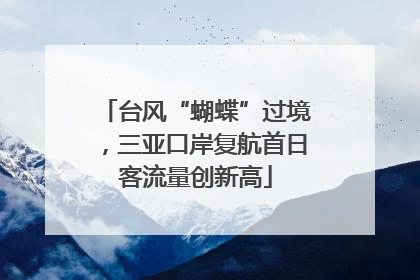 台风“蝴蝶”过境，三亚口岸复航首日客流量创新高