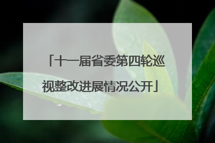 十一届省委第四轮巡视整改进展情况公开