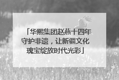华熙集团赵燕十四年守护非遗，让新疆文化瑰宝绽放时代光彩