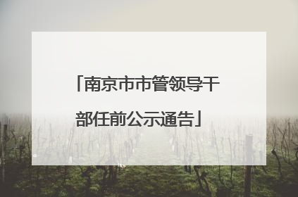 南京市市管领导干部任前公示通告
