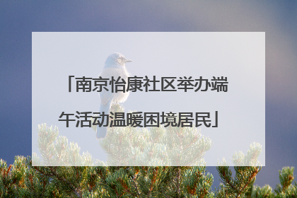 南京怡康社区举办端午活动温暖困境居民