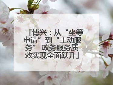 博兴：从“坐等申请”到“主动服务” 政务服务质效实现全面跃升