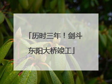 历时三年！剑斗东阳大桥竣工