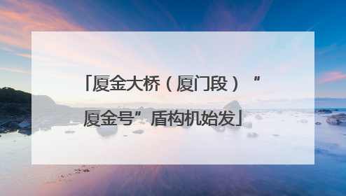 厦金大桥（厦门段）“厦金号”盾构机始发