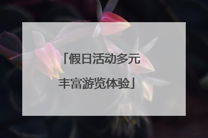 假日活动多元 丰富游览体验