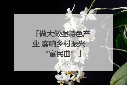 做大做强特色产业 奏响乡村振兴“富民曲”