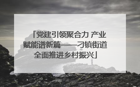 党建引领聚合力 产业赋能谱新篇——刁镇街道全面推进乡村振兴