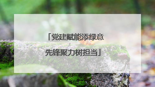 党建赋能添绿意 先锋聚力树担当