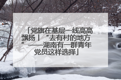 党旗在基层一线高高飘扬丨“去有村的地方”——湖南有一群青年党员这样选择