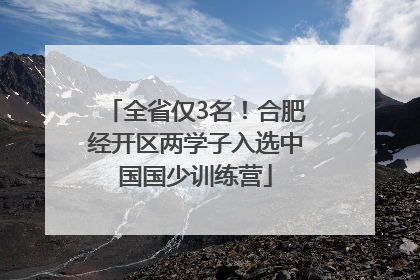 全省仅3名！合肥经开区两学子入选中国国少训练营