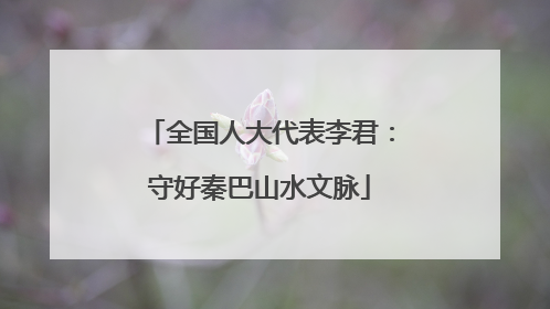 全国人大代表李君：守好秦巴山水文脉