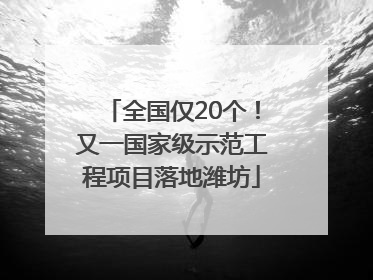 全国仅20个！又一国家级示范工程项目落地潍坊