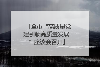全市“高质量党建引领高质量发展”座谈会召开