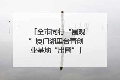 全市同行“围观”厦门湖里台青创业基地“出圈”