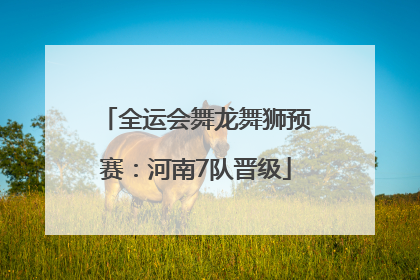 全运会舞龙舞狮预赛：河南7队晋级