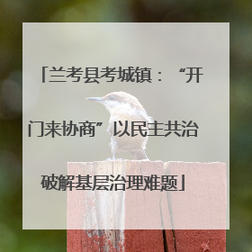 兰考县考城镇：“开门来协商”以民主共治破解基层治理难题