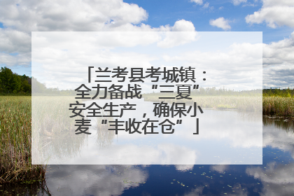 兰考县考城镇：全力备战“三夏”安全生产，确保小麦“丰收在仓”