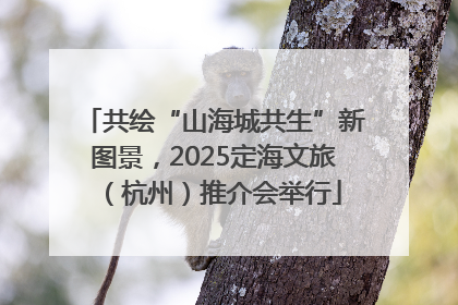 共绘“山海城共生”新图景，2025定海文旅（杭州）推介会举行