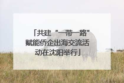 共建“一带一路”赋能侨企出海交流活动在沈阳举行