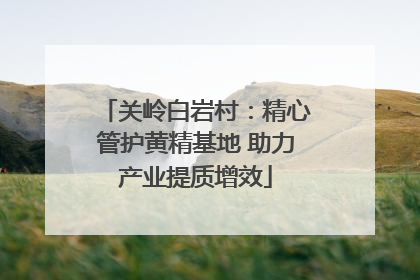 关岭白岩村：精心管护黄精基地 助力产业提质增效