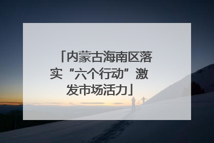 内蒙古海南区落实“六个行动”激发市场活力