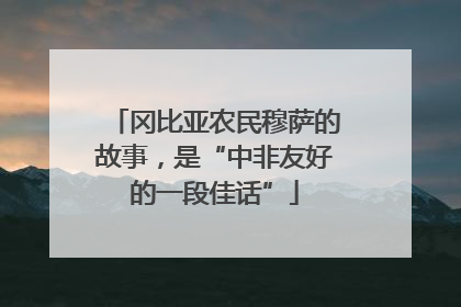 冈比亚农民穆萨的故事，是“中非友好的一段佳话”