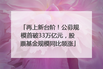 再上新台阶！公募规模首破33万亿元，股票基金规模同比领涨