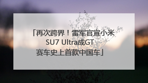 再次跨界！雷军官宣小米SU7 Ultra成GT赛车史上首款中国车