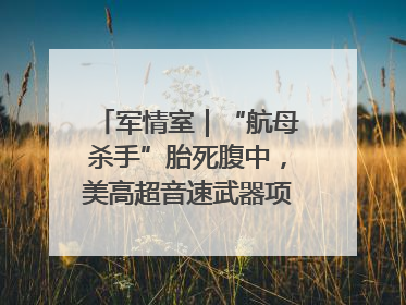 军情室｜“航母杀手”胎死腹中，美高超音速武器项目还有啥？