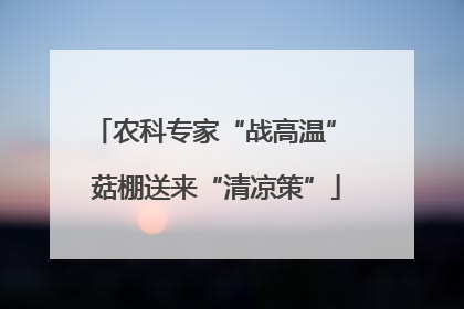 农科专家“战高温” 菇棚送来“清凉策”