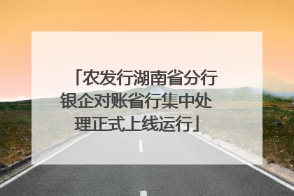 农发行湖南省分行银企对账省行集中处理正式上线运行