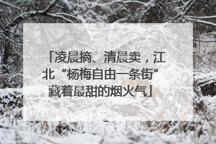 凌晨摘、清晨卖，江北“杨梅自由一条街”藏着最甜的烟火气