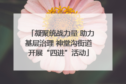 凝聚统战力量 助力基层治理 神堂沟街道开展“四进”活动