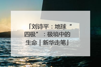 刘诗平：地球“四极”：极境中的生命｜新华走笔