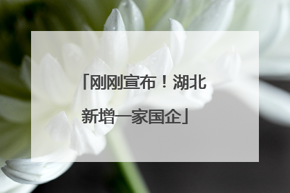 刚刚宣布！湖北新增一家国企