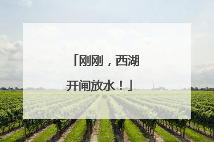 刚刚，西湖开闸放水！