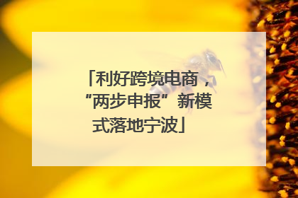利好跨境电商，“两步申报”新模式落地宁波