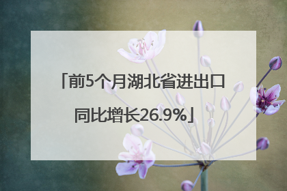 前5个月湖北省进出口同比增长26.9%