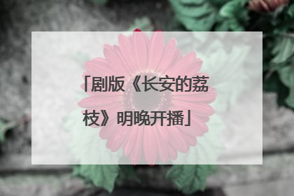 剧版《长安的荔枝》明晚开播