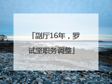 副厅16年，罗试坚职务调整