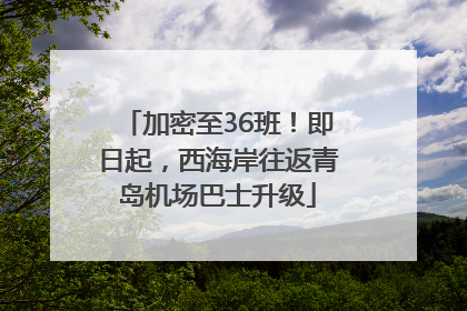 加密至36班！即日起，西海岸往返青岛机场巴士升级