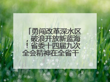 勇闯改革深水区，破浪开放新蓝海！省委十四届九次全会精神在全省干部群众中引发热烈反响