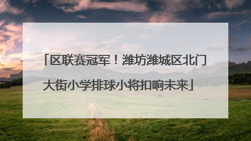 区联赛冠军！潍坊潍城区北门大街小学排球小将扣响未来