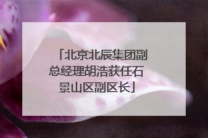 北京北辰集团副总经理胡浩获任石景山区副区长