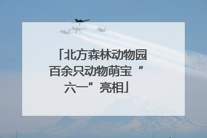 北方森林动物园百余只动物萌宝“六一”亮相