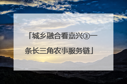 城乡融合看嘉兴③一条长三角农事服务链