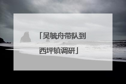 吴毓舟带队到西坪镇调研
