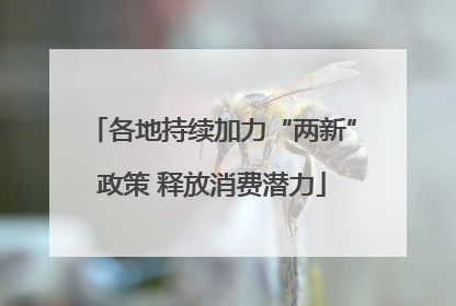 各地持续加力“两新”政策 释放消费潜力